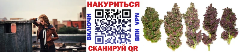 ссылка на мегу как войти  Ливны  Бошки марихуана ГИДРОПОН 